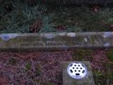 image of grave number 615644